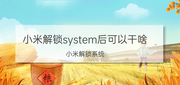 小米解锁system后可以干啥 小米解锁系统